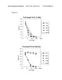 Antibody against PCRV diagram and image