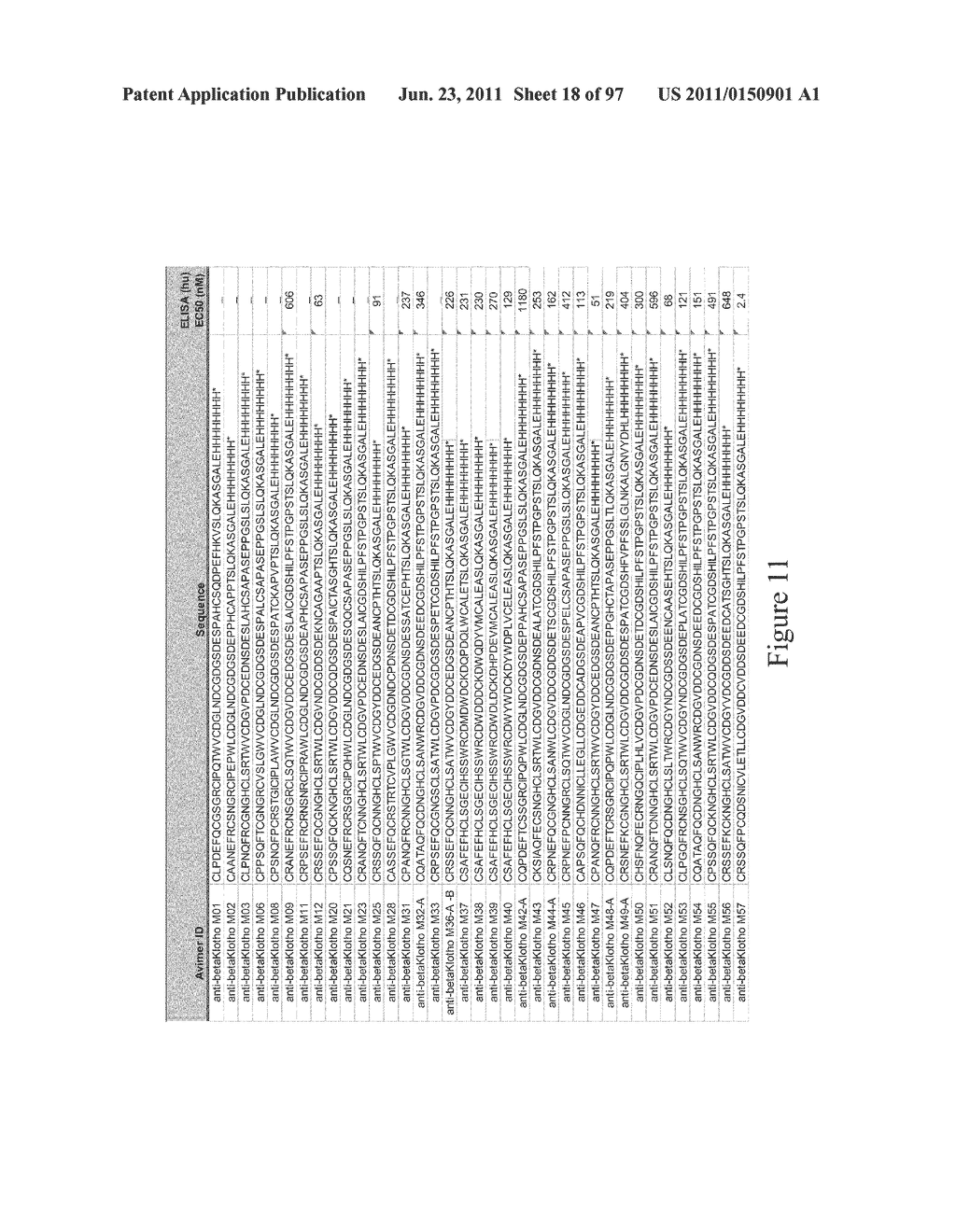 BINDING PROTEINS THAT BIND TO HUMAN FGFR1C, HUMAN BETA-KLOTHO AND BOTH     HUMAN FGFR1C AND HUMAN BETA-KLOTHO - diagram, schematic, and image 19