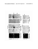 ELECTROSPUN DEXTRAN FIBERS AND DEVICES FORMED THEREFROM diagram and image