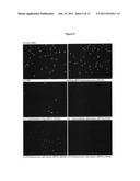 AMPHIPHILIC BLOCK COPOLYMERS FOR NUCLEIC ACID DELIVERY diagram and image