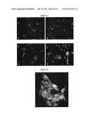 AMPHIPHILIC BLOCK COPOLYMERS FOR NUCLEIC ACID DELIVERY diagram and image