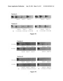 AMPHIPHILIC BLOCK COPOLYMERS FOR NUCLEIC ACID DELIVERY diagram and image