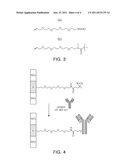 METHOD FOR SELECTIVELY FUNCTIONALIZING NON-MODIFIED SOLID SURFACE AND     METHOD FOR IMMOBILIZING ACTIVE MATERIAL ON THE FUNCTIONALIZED SOLID     SURFACE diagram and image