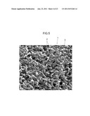SILICA NANOPARTICLE STRUCTURE AND PROCESS FOR PRODUCTION OF SAME diagram and image