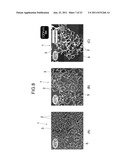 SILICA NANOPARTICLE STRUCTURE AND PROCESS FOR PRODUCTION OF SAME diagram and image