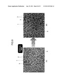 SILICA NANOPARTICLE STRUCTURE AND PROCESS FOR PRODUCTION OF SAME diagram and image