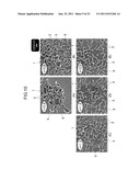 SILICA NANOPARTICLE STRUCTURE AND PROCESS FOR PRODUCTION OF SAME diagram and image