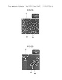 SILICA NANOPARTICLE STRUCTURE AND PROCESS FOR PRODUCTION OF SAME diagram and image