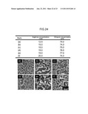 SILICA NANOPARTICLE STRUCTURE AND PROCESS FOR PRODUCTION OF SAME diagram and image