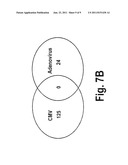 VIRUS-SPECIFIC miRNA SIGNATURES FOR DIAGNOSIS AND THERAPEUTIC TREATMENT OF     VIRAL INFECTION diagram and image