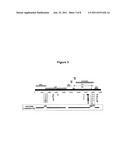 COMPOSITIONS AND METHODS FOR THE DETECTION OF HIV-1/HIV-2 INFECTION diagram and image