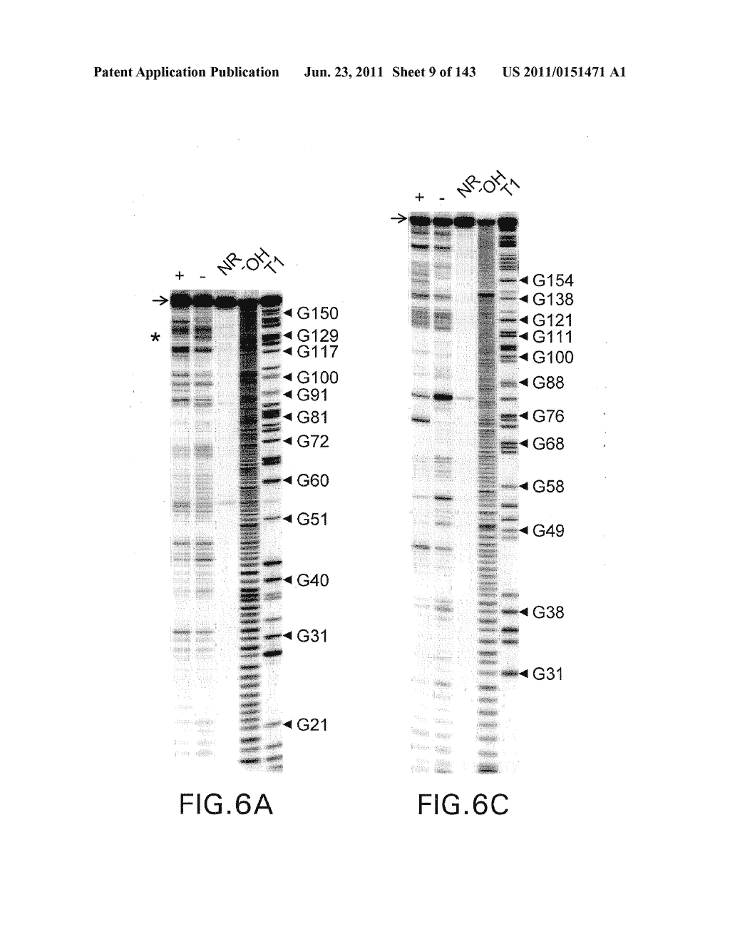 RIBOSWITCHES, METHODS FOR THEIR USE, AND COMPOSITIONS FOR USE WITH     RIBOSWITCHES - diagram, schematic, and image 10