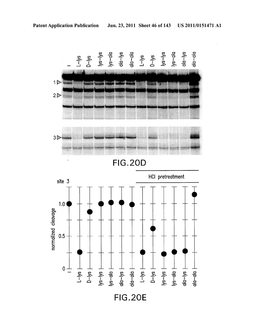 RIBOSWITCHES, METHODS FOR THEIR USE, AND COMPOSITIONS FOR USE WITH     RIBOSWITCHES - diagram, schematic, and image 47