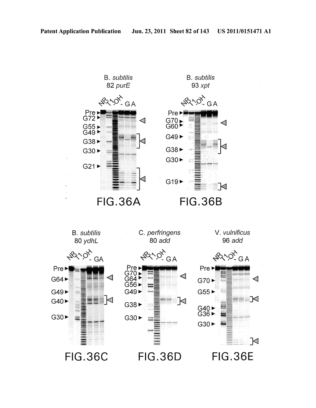 RIBOSWITCHES, METHODS FOR THEIR USE, AND COMPOSITIONS FOR USE WITH     RIBOSWITCHES - diagram, schematic, and image 83