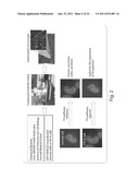 Compositions And Methods For The Treatment Of Cancer diagram and image