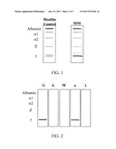 METHODS AND MATERIALS FOR MONITORING MYELOMA USING QUANTITATIVE MASS     SPECTROMETRY diagram and image