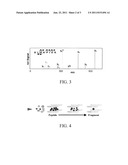 METHODS AND MATERIALS FOR MONITORING MYELOMA USING QUANTITATIVE MASS     SPECTROMETRY diagram and image