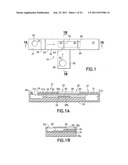 Dual Path Immunoassay Device diagram and image