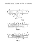 Dual Path Immunoassay Device diagram and image