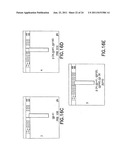 Dual Path Immunoassay Device diagram and image