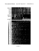 GENOMIC FINGERPRINT OF BREAST CANCER diagram and image