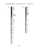 GENOMIC FINGERPRINT OF BREAST CANCER diagram and image