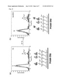 Quantification Method of Biochemical Substances Using Ion Scattering     Spectroscopy and Specific-Binding Efficiency Quantification Method of     Biochemical Substances Using Ion Scattering Spectroscopy diagram and image