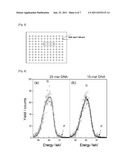 Quantification Method of Biochemical Substances Using Ion Scattering     Spectroscopy and Specific-Binding Efficiency Quantification Method of     Biochemical Substances Using Ion Scattering Spectroscopy diagram and image