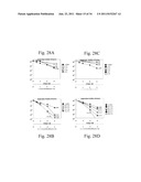 Compositions and Methods for Treating Hyperproliferative Disorders diagram and image