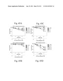 Compositions and Methods for Treating Hyperproliferative Disorders diagram and image