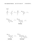 FLUORESCENT REGULATORS OF RASSF1A EXPRESSION AND HUMAN CANCER CELL     PROLIFERATION diagram and image