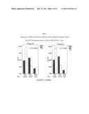 Methods for Identifying Subjects With an Increased Likelihood of     Responding to DPP-IV Inhibitors diagram and image