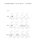 PHARMACEUTICAL COMPOSITION CONTAINING 1,2-DITHIOLTHIONE DERIVATIVE FOR     PREVENTING OR TREATING DISEASE CAUSED BY OVEREXPRESSION OF LXR-ALPHA diagram and image