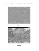 Melt-Processed Films of Thermoplastic Cellulose And Microbial Aliphatic     Polyester diagram and image