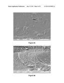 Melt-Processed Films of Thermoplastic Cellulose And Microbial Aliphatic     Polyester diagram and image