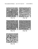 TISSUE ENGINEERED CONSTRUCTS diagram and image