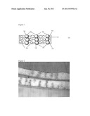 Conductive Polymer Foams, Method of Manufacture, and Articles Thereof diagram and image