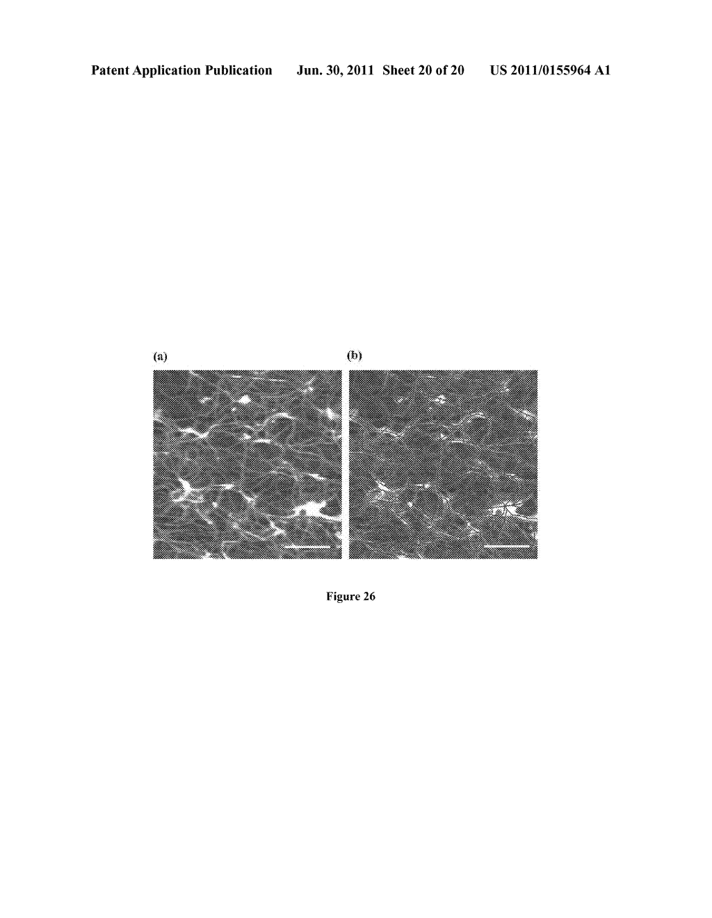 Monodisperse Single-Walled Carbon Nanotube Populations and Related Methods     for Providing Same - diagram, schematic, and image 21