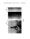 METHOD AND DEVICE FOR GENERATING MULTI-VIEWS THREE-DIMENSIONAL (3D)     STEREOSCOPIC IMAGE diagram and image