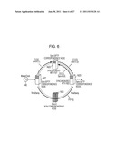 NODE DEVICE diagram and image