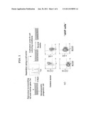 METHOD FOR PRODUCING CELLS HAVING CHARACTERISTIC OF HEMATOPOIETIC STEM     CELLS/PROGENITOR CELLS diagram and image