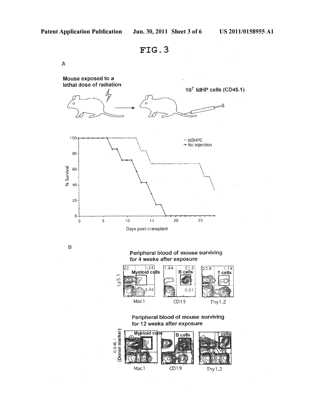 METHOD FOR PRODUCING CELLS HAVING CHARACTERISTIC OF HEMATOPOIETIC STEM     CELLS/PROGENITOR CELLS - diagram, schematic, and image 04