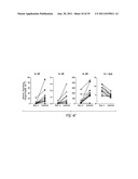 USES OF IL-22, IL-17, AND IL-1 FAMILY CYTOKINES IN AUTOIMMUNE DISEASES diagram and image