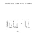 USES OF IL-22, IL-17, AND IL-1 FAMILY CYTOKINES IN AUTOIMMUNE DISEASES diagram and image