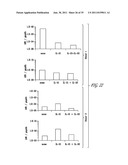 USES OF IL-22, IL-17, AND IL-1 FAMILY CYTOKINES IN AUTOIMMUNE DISEASES diagram and image