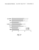 USES OF IL-22, IL-17, AND IL-1 FAMILY CYTOKINES IN AUTOIMMUNE DISEASES diagram and image