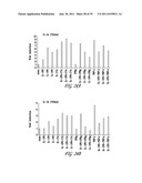 USES OF IL-22, IL-17, AND IL-1 FAMILY CYTOKINES IN AUTOIMMUNE DISEASES diagram and image