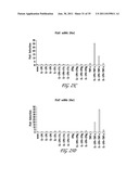 USES OF IL-22, IL-17, AND IL-1 FAMILY CYTOKINES IN AUTOIMMUNE DISEASES diagram and image