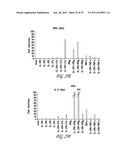 USES OF IL-22, IL-17, AND IL-1 FAMILY CYTOKINES IN AUTOIMMUNE DISEASES diagram and image