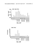 USES OF IL-22, IL-17, AND IL-1 FAMILY CYTOKINES IN AUTOIMMUNE DISEASES diagram and image